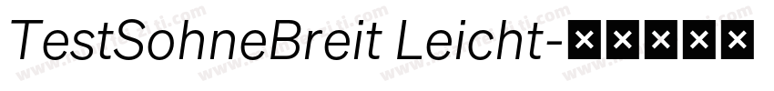 TestSohneBreit Leicht字体转换